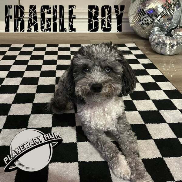 Cover art for Fragile Boy