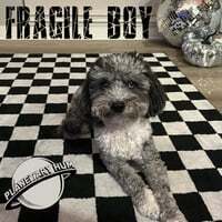 Fragile Boy